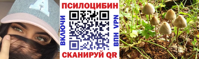 Псилоцибиновые грибы прущие грибы Тейково