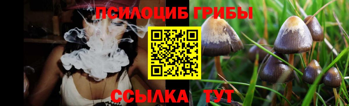 Псилоцибиновые грибы Cubensis  Псилоцибиновые грибы мухоморы  Вход с VPN  Тейково 